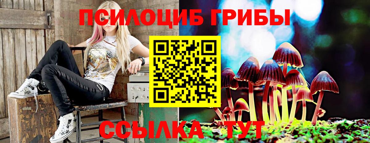 Дедовск  Галлюциногенные грибы ЛСД  Вход с VPN  Галлюциногенные грибы прущие грибы 